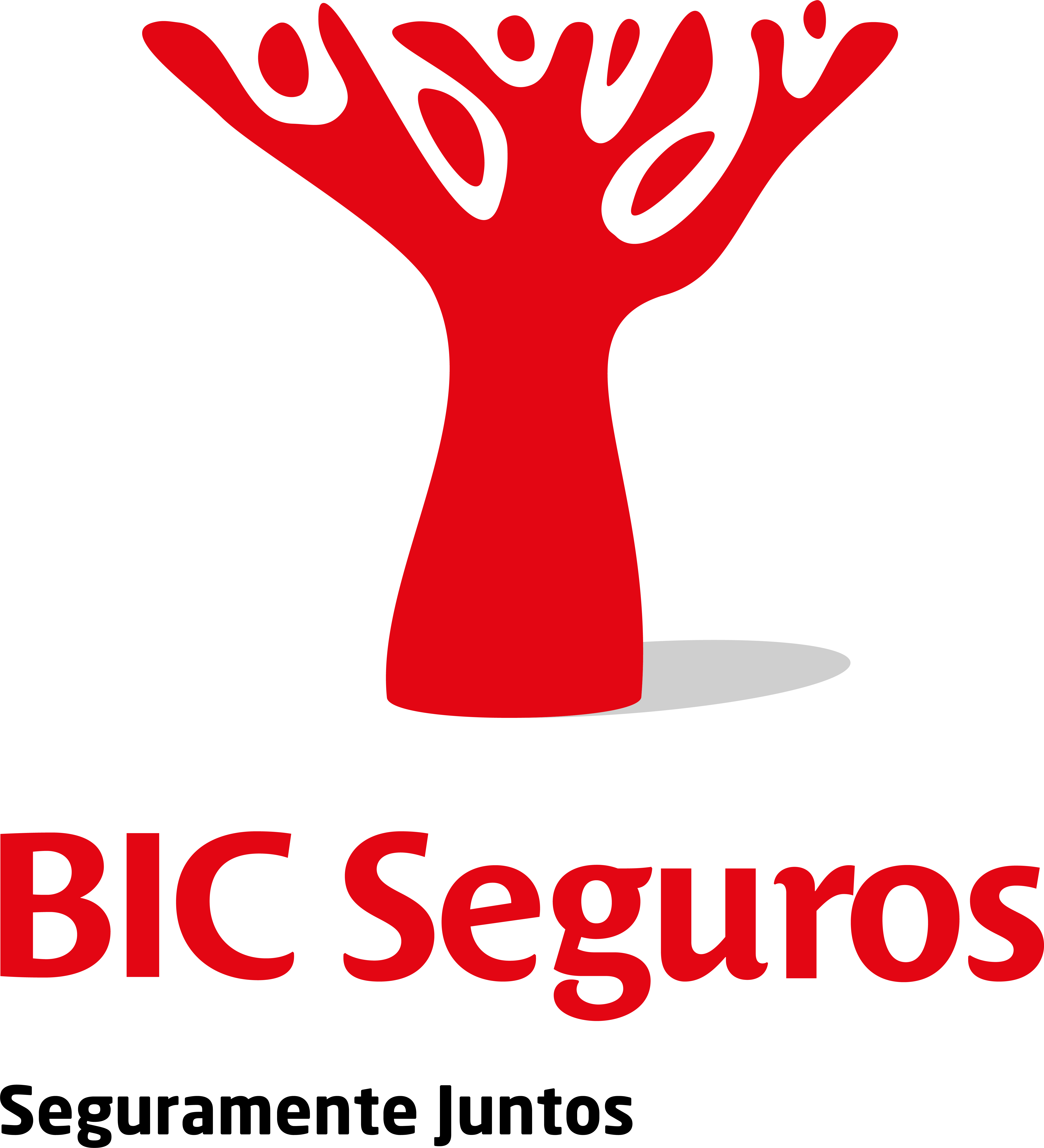 Logo Banco BIC - Cliente da Triângulo Perfeito